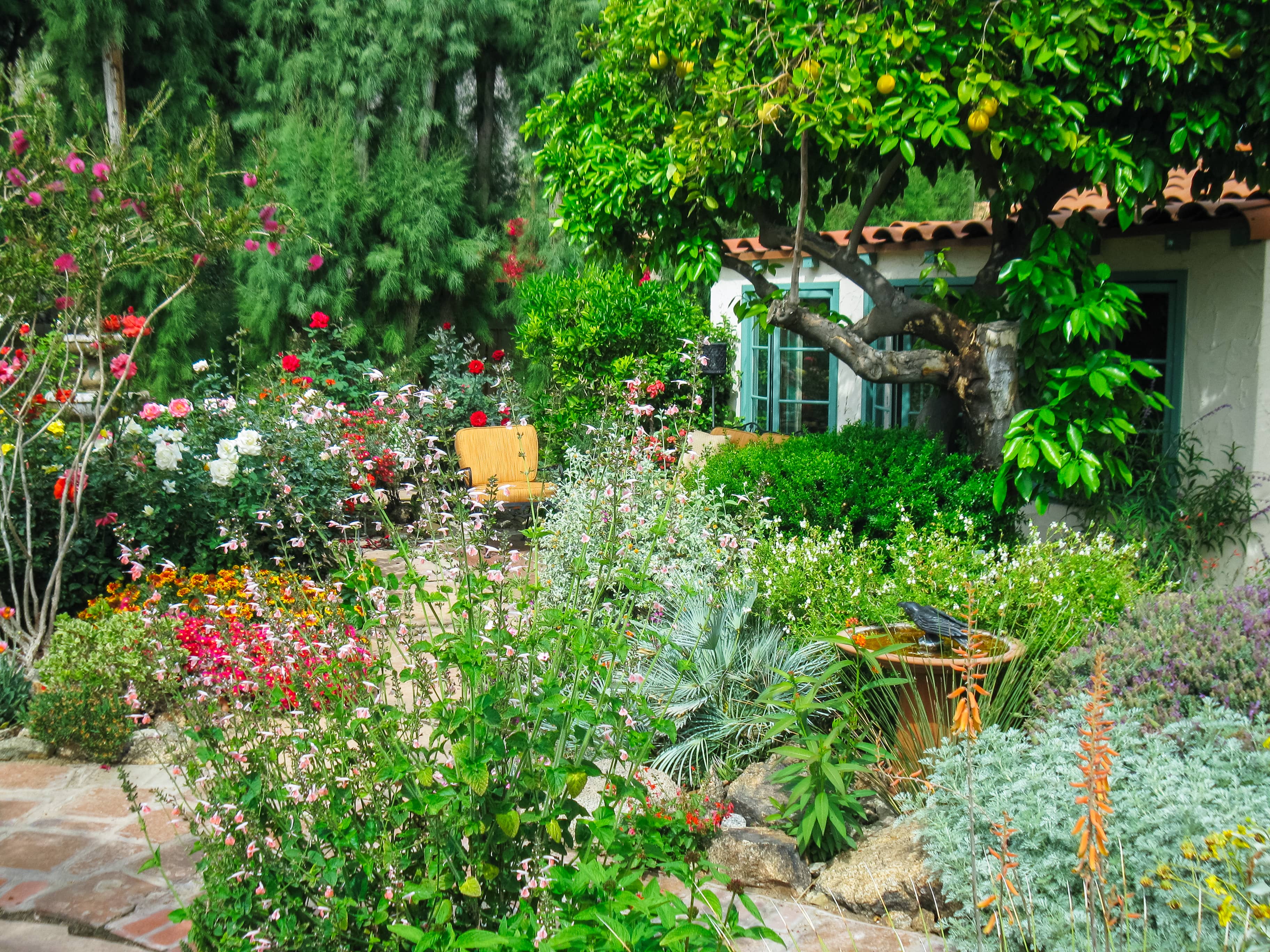 Mediterranean Colonial