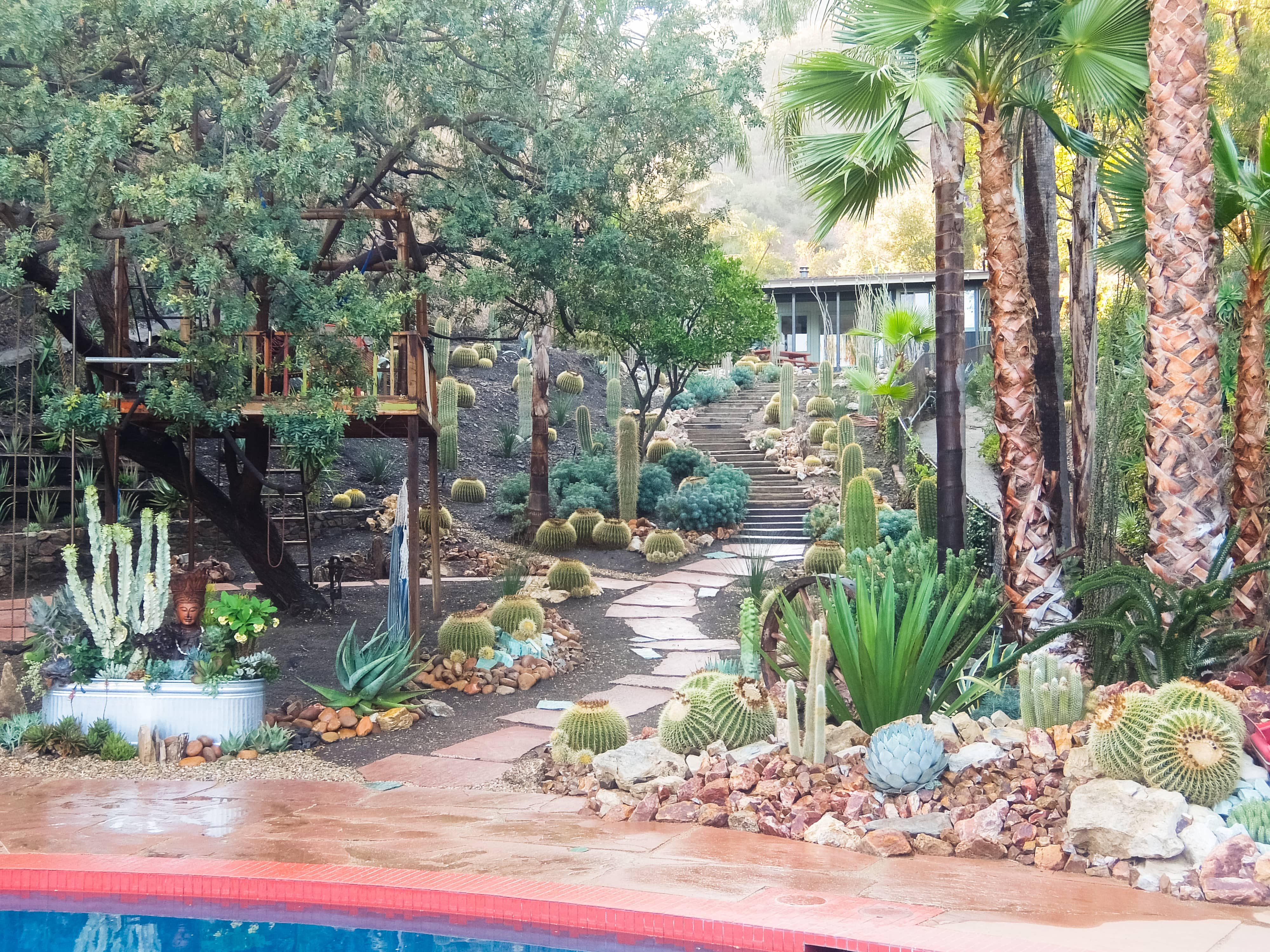 Mandeville Canyon