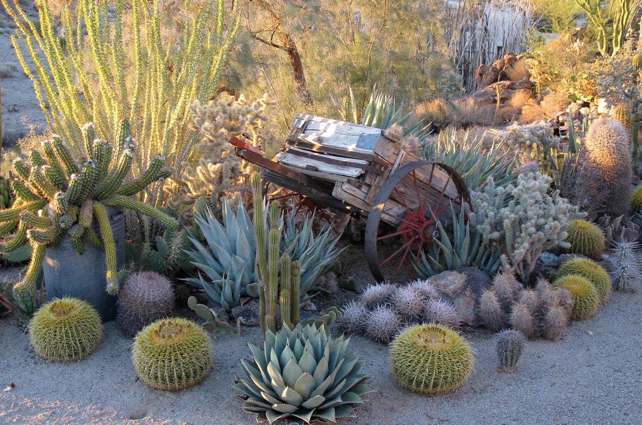 Garden Design