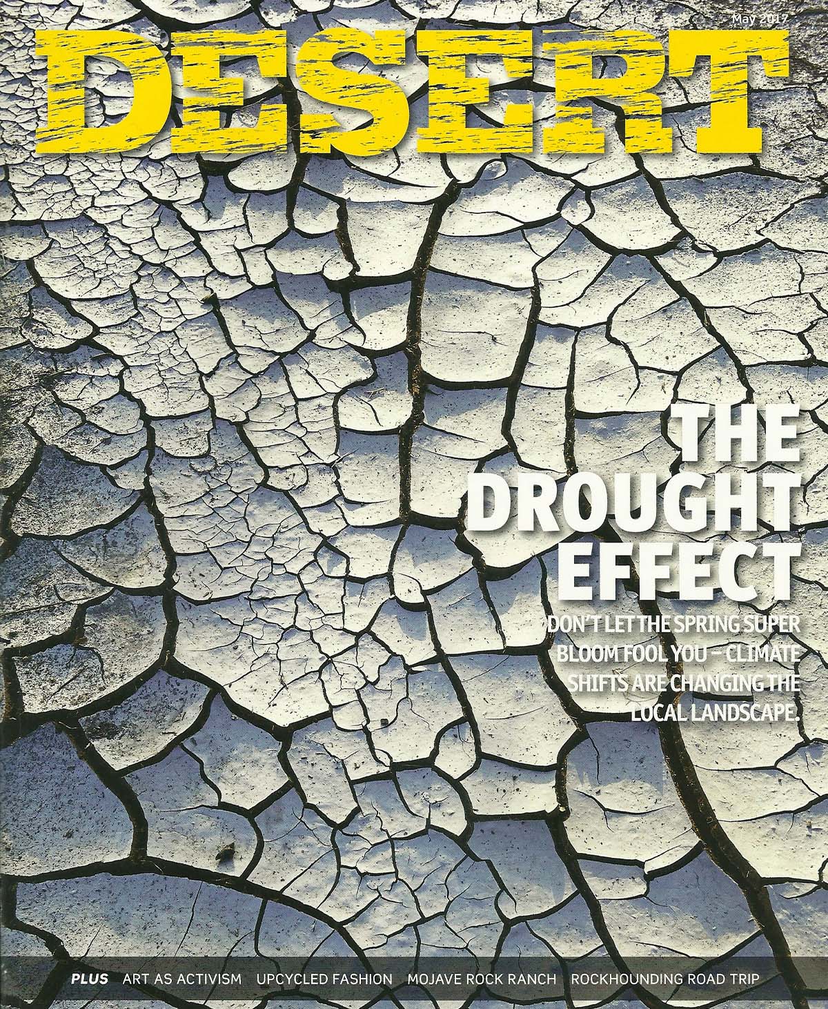 DESERT MAGAZINE - Out of Africa