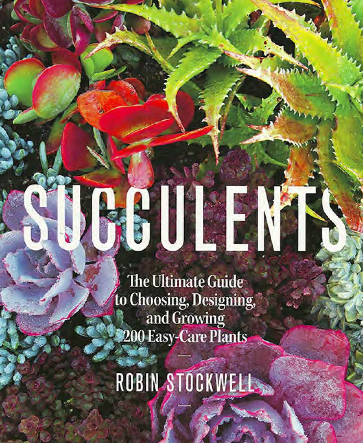 Succulents Book