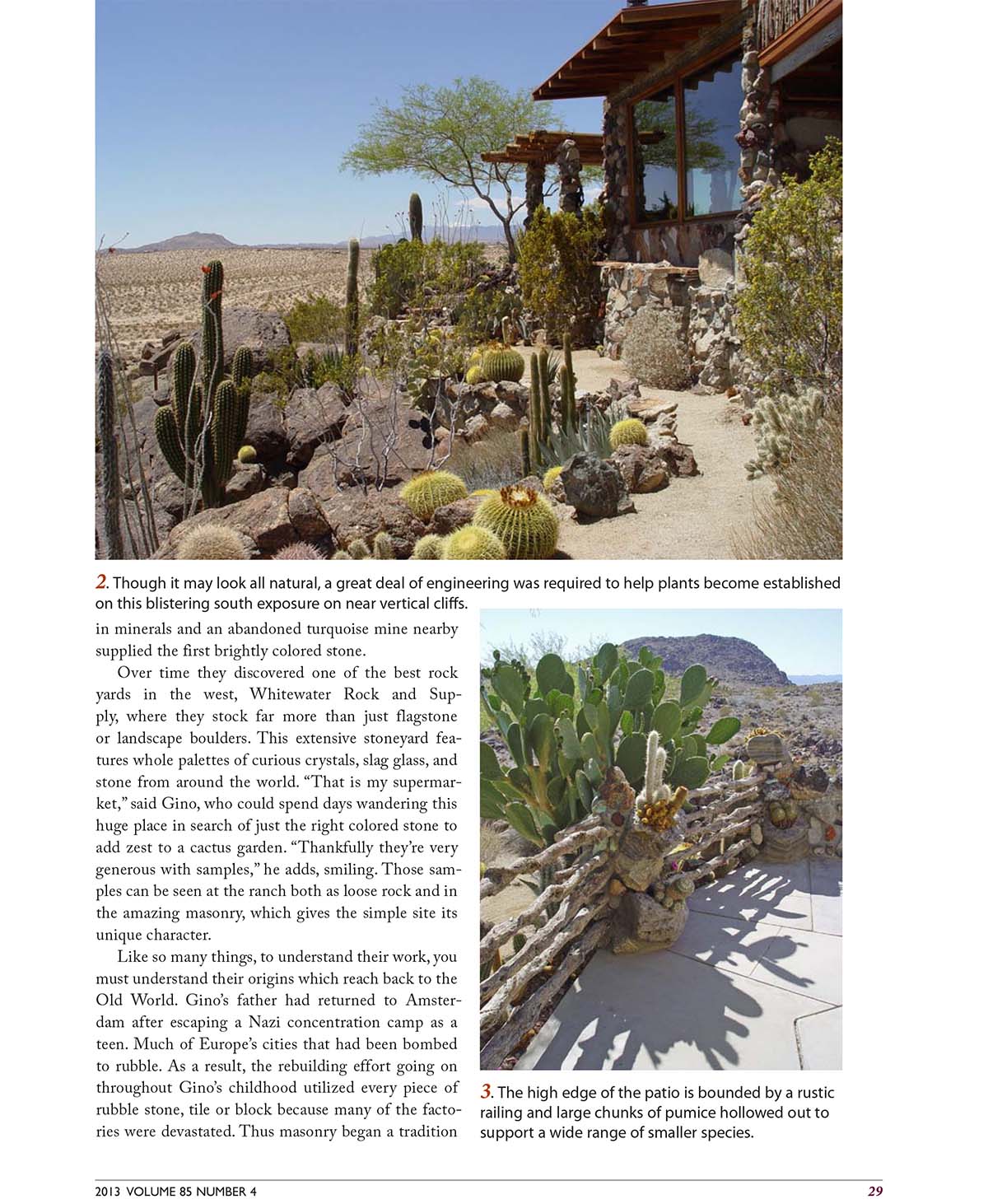 Cactus and Succulent Journal