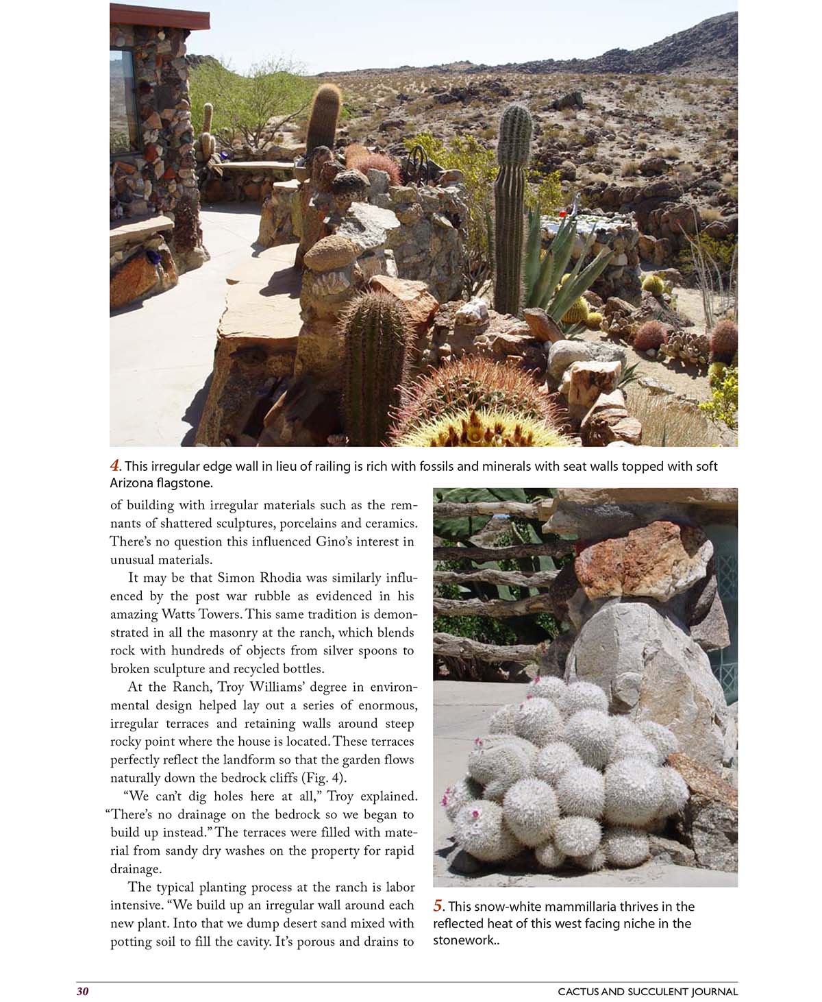 Cactus and Succulent Journal