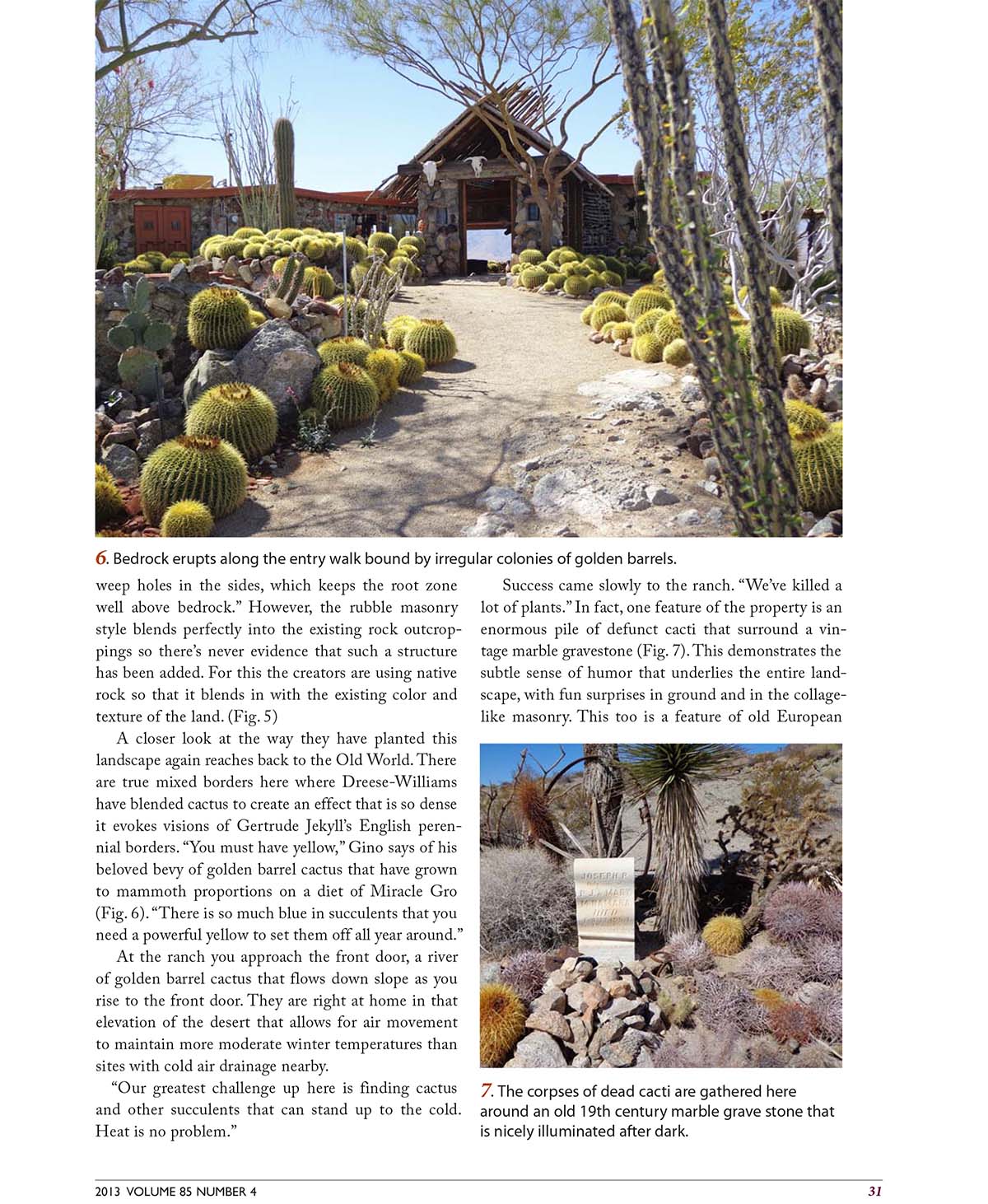 Cactus and Succulent Journal