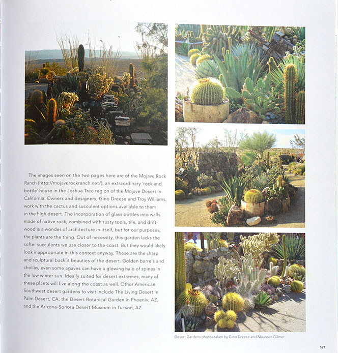 Under the Spell of Succulents
