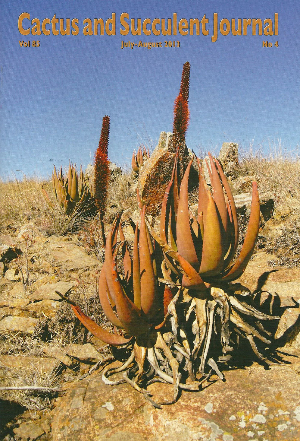 Cactus and Succulent Journal