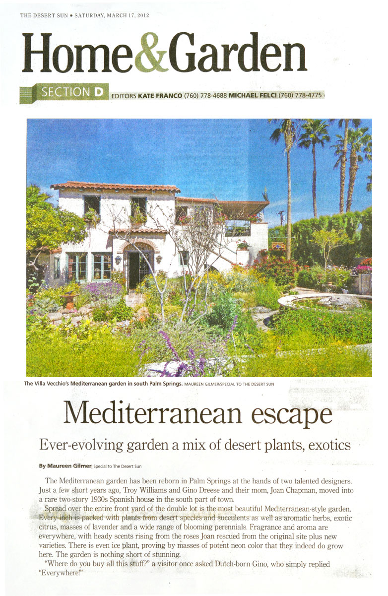 The Desert Sun - Palm Springs garden a Mediterranean escape