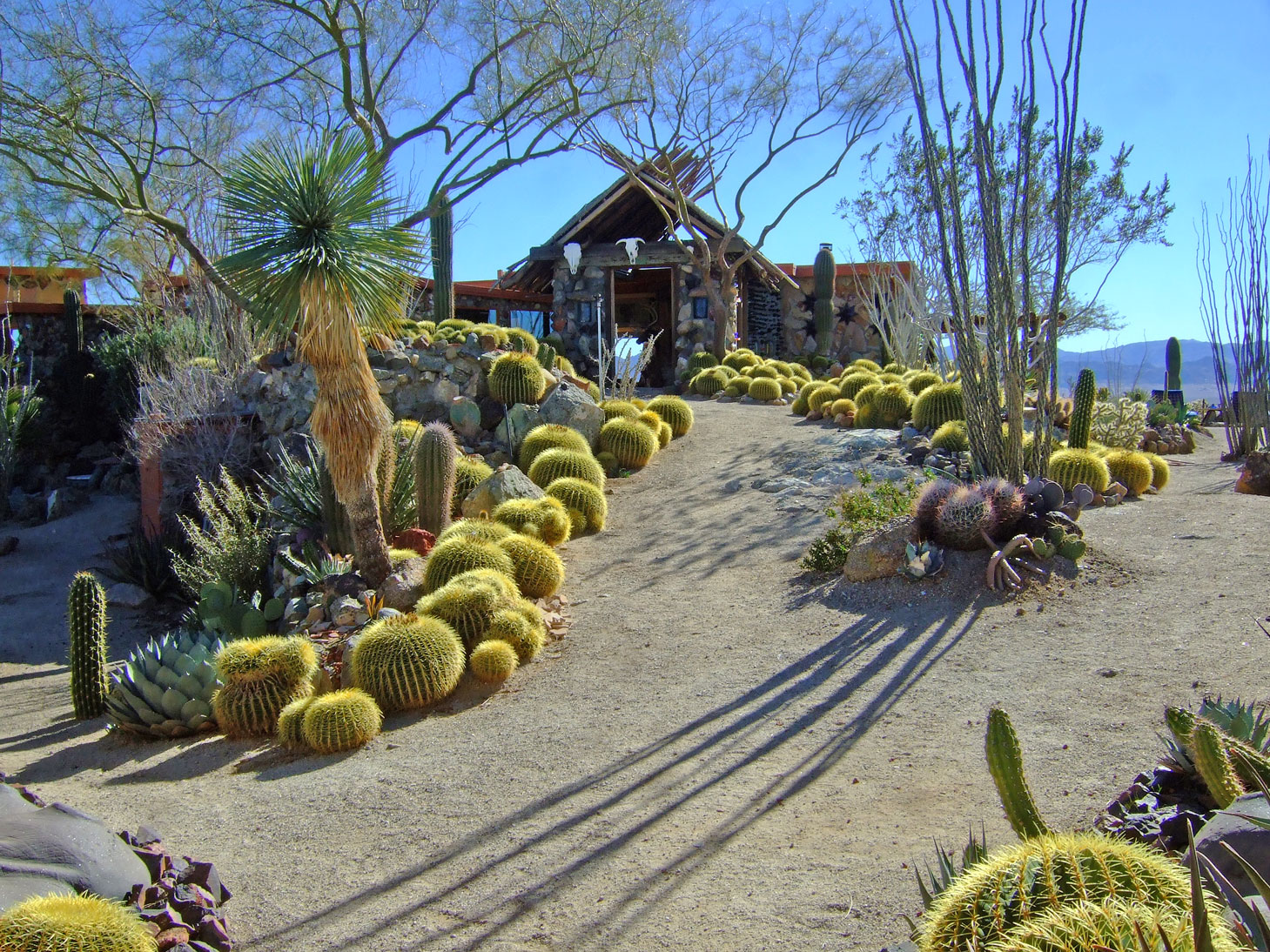 The Desert Sun - This is Mojave Rock Ranch