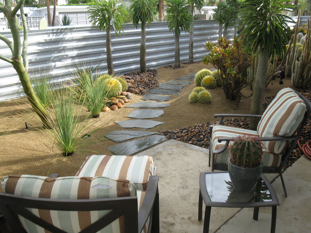 Desert Oasis