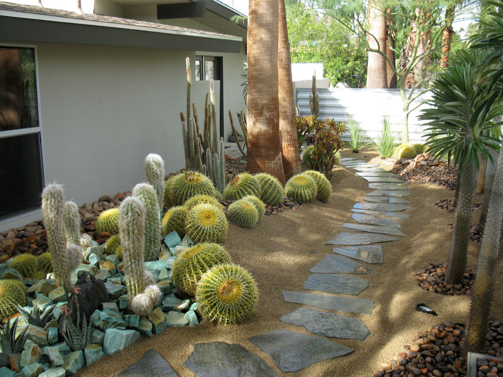 Desert Oasis