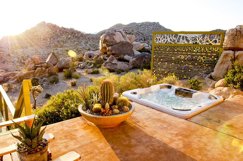 Joshua Tree Oasis