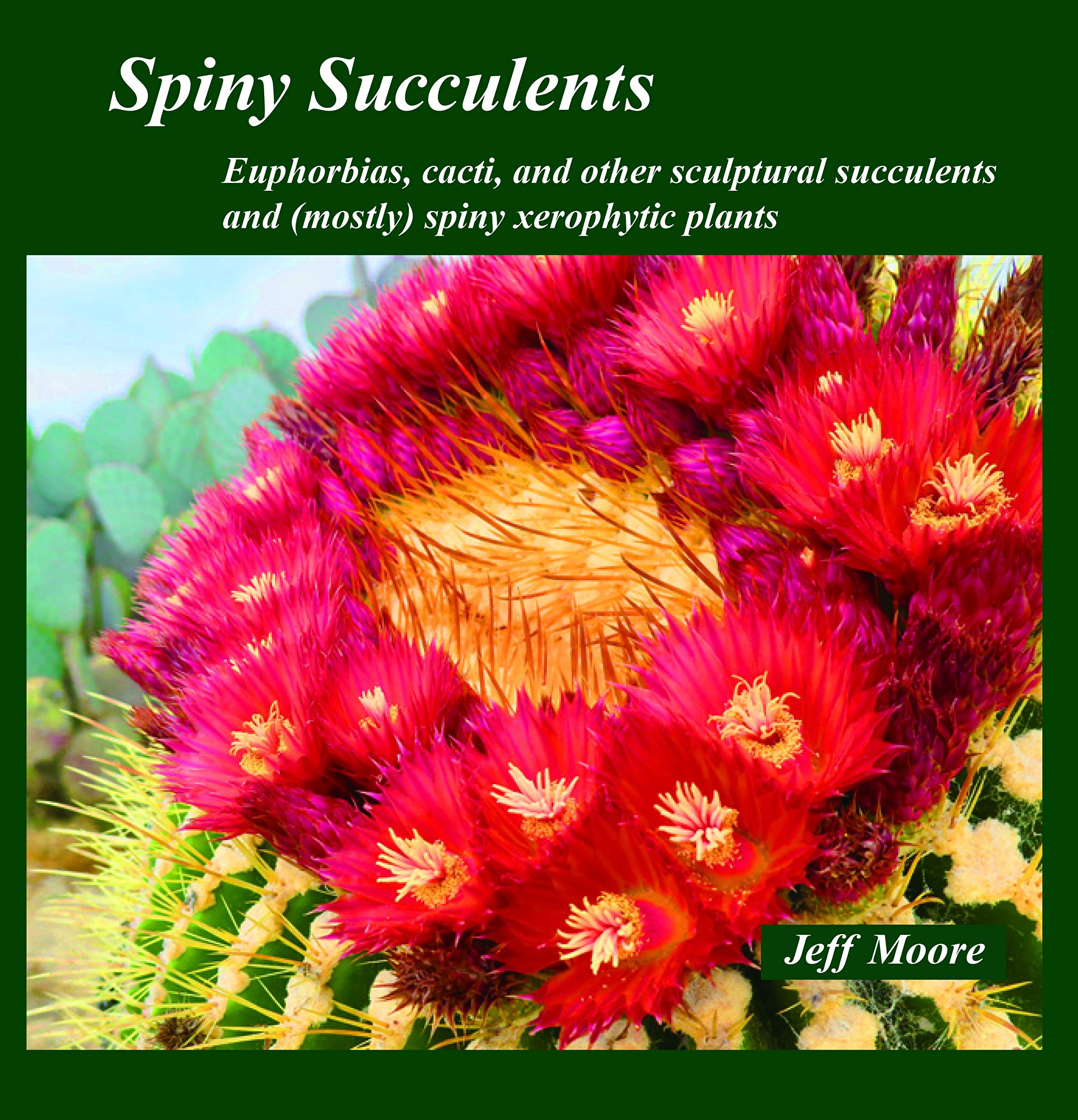 Spiny Succulents