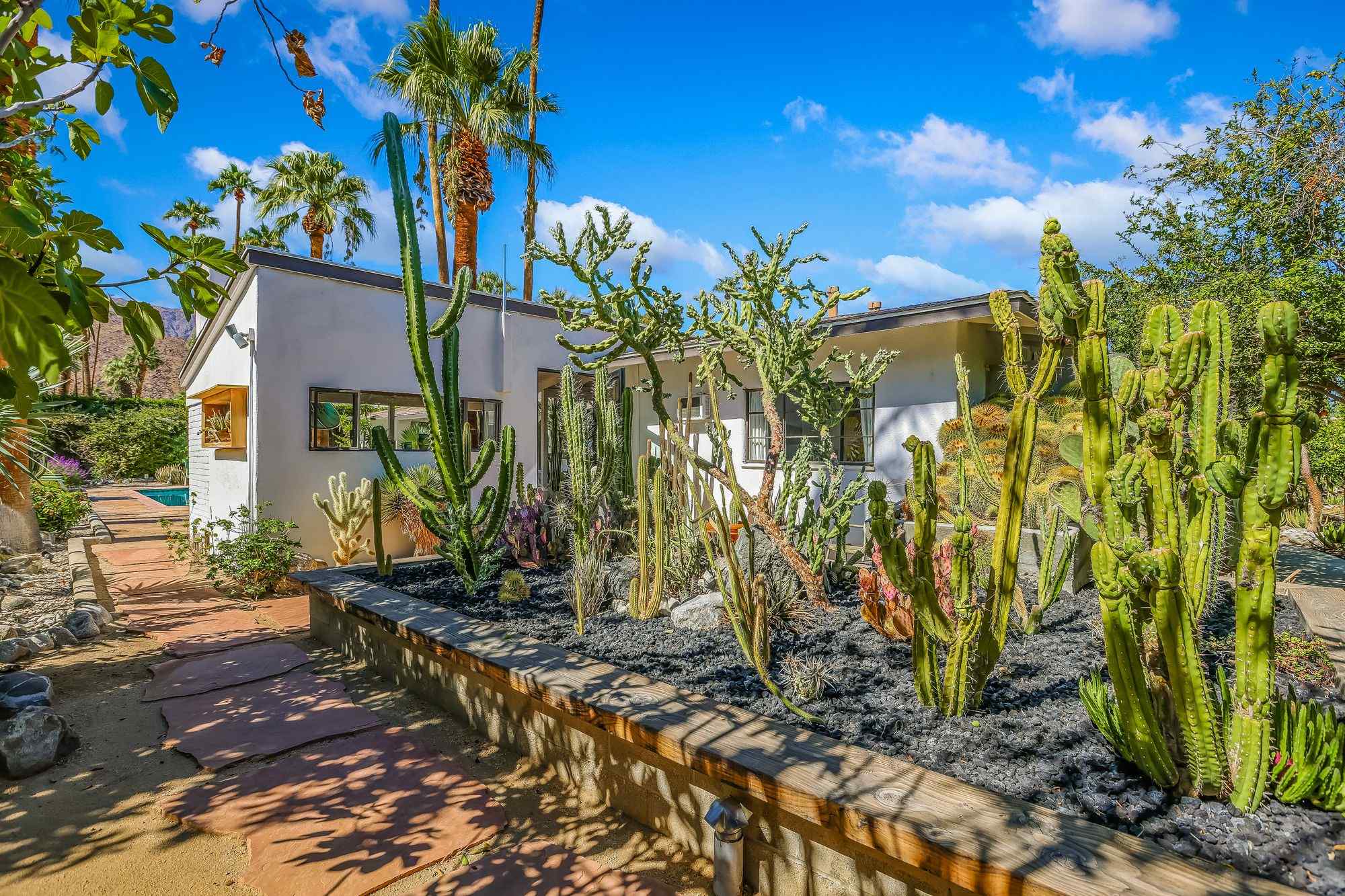 Rancho Oasis