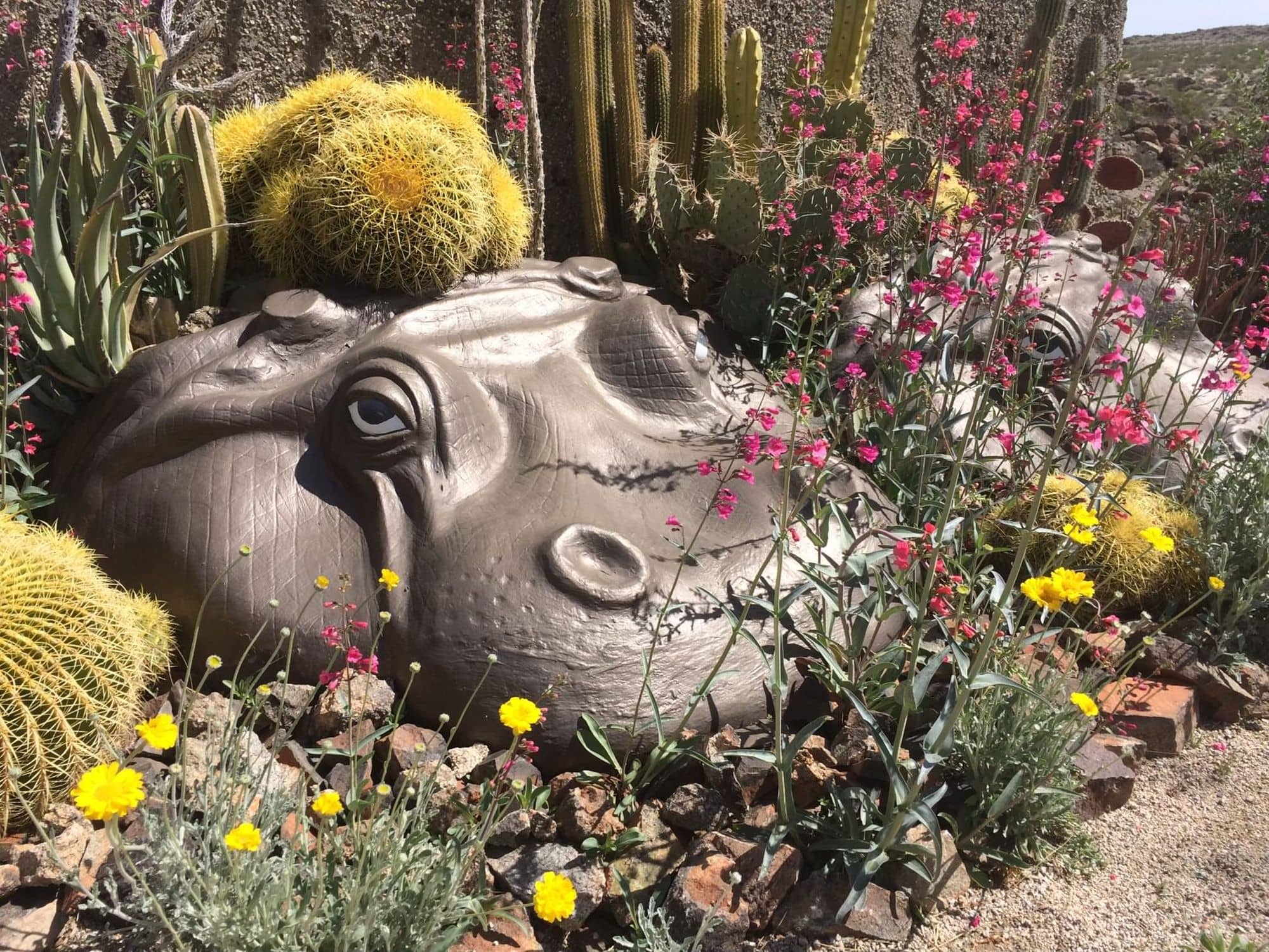 Mojave Rock Ranch