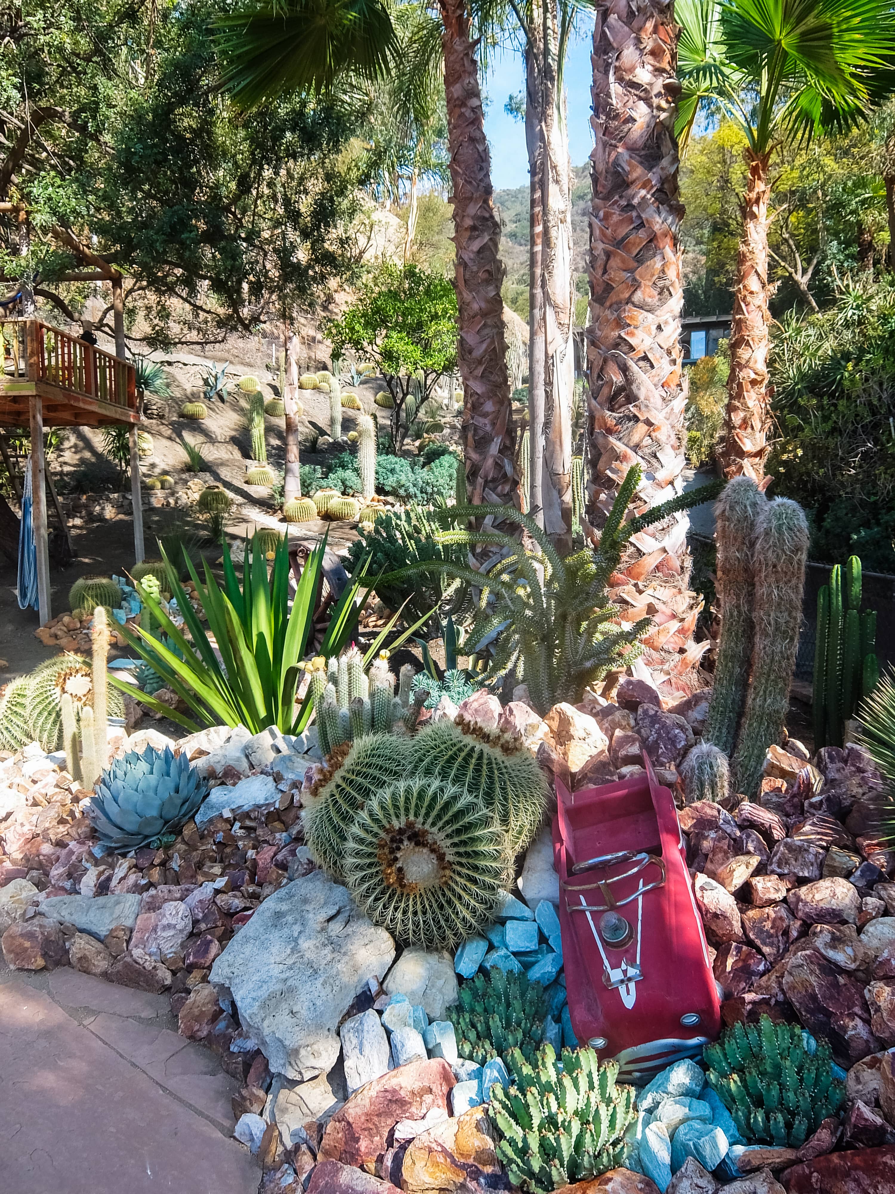 Mandeville Canyon