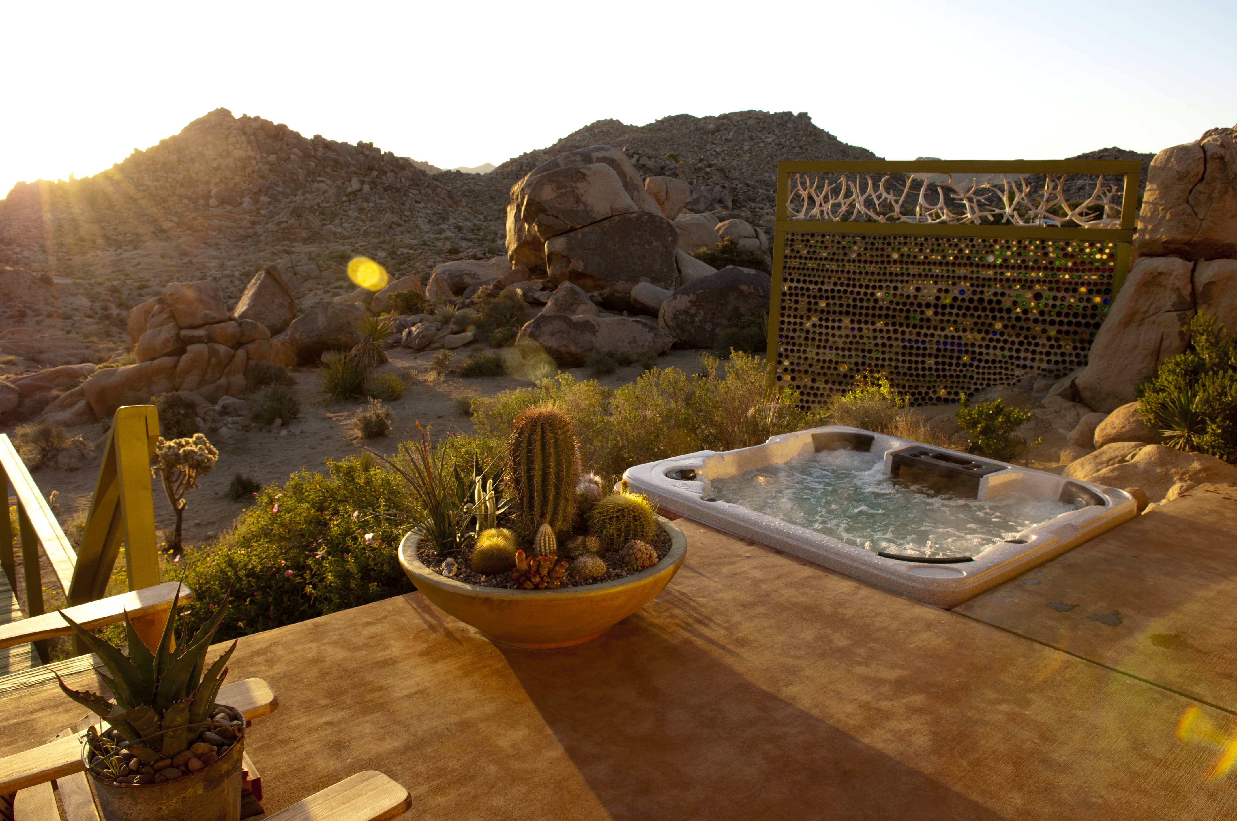 Joshua Tree Oasis