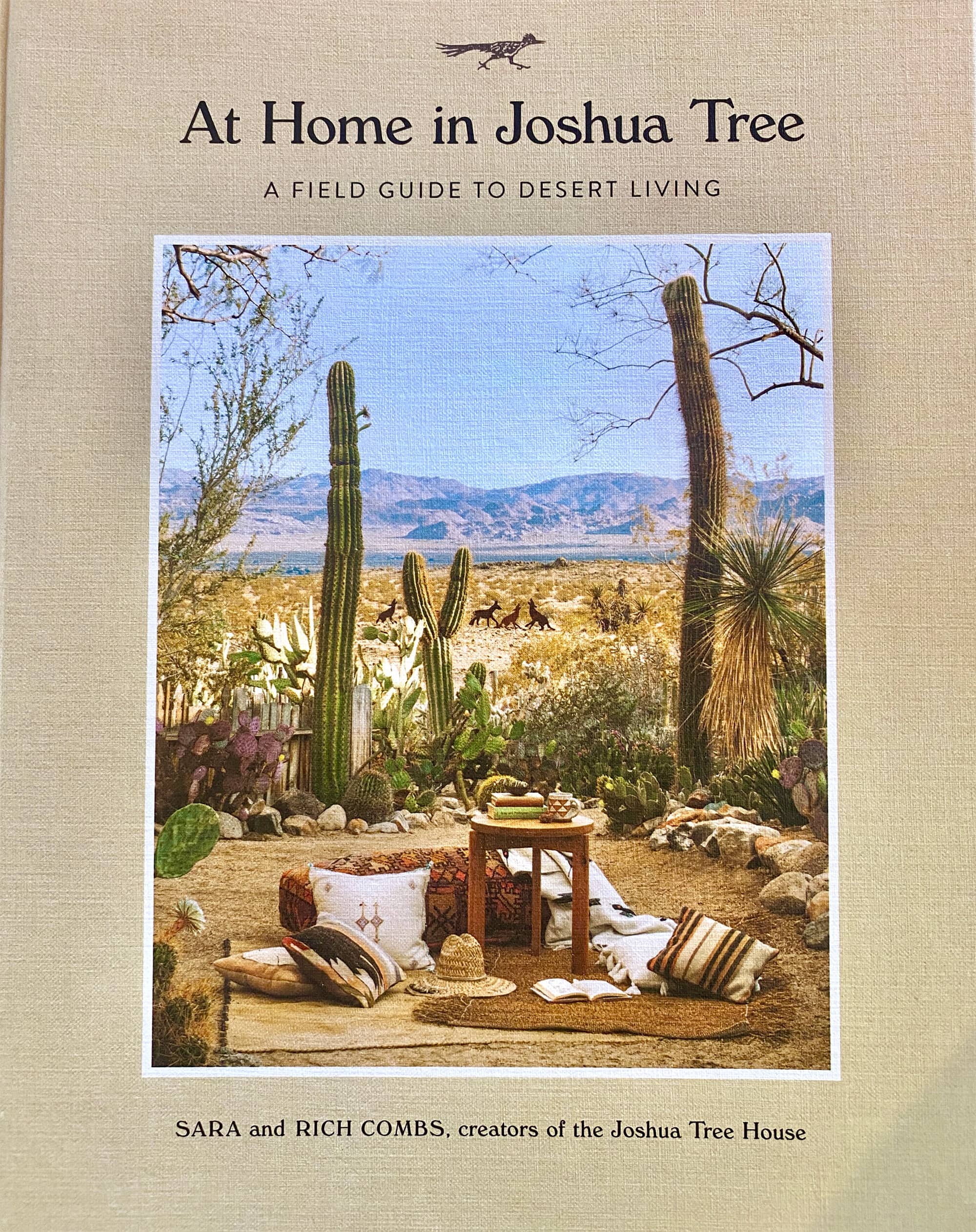 At Home In Joshua Tree