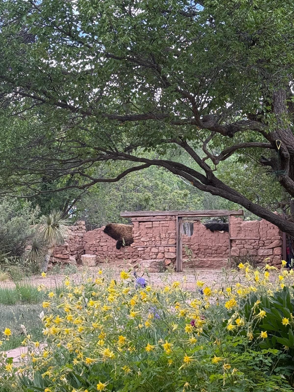 Galisteo Adobe